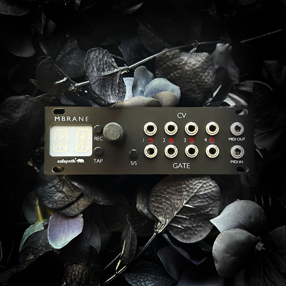 MBrane 1U – Mutable Yarns MIDI to CV | Calsynth