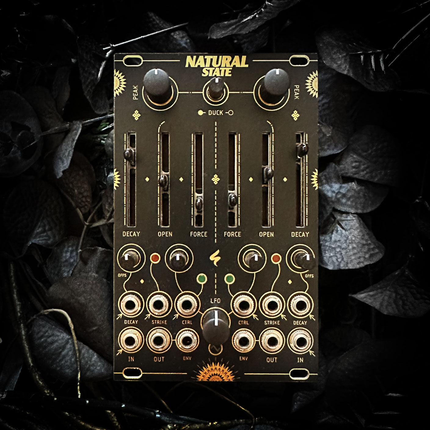 CALSYNTH - ST-MODULAR DESIGNS – Calsynth