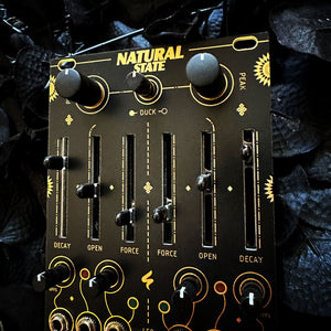 NATURAL STATE - DUAL ENVELOPE DUCKING FILTER