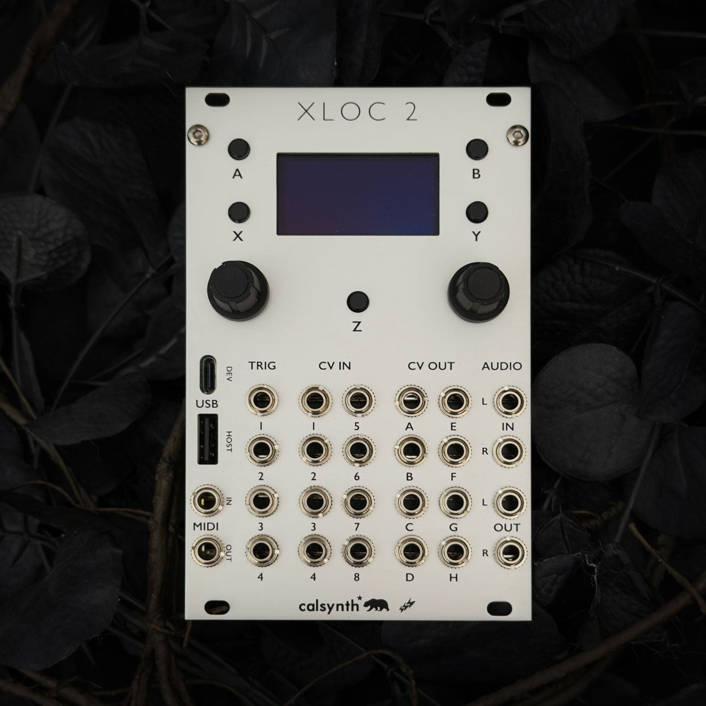 XLOC2 – Next Gen Ornament and Crime, Teensy 4.1 | Calsynth
